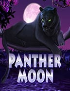 รีวิว sanook สล็อต เกมสล็อตที่ต้องลอง